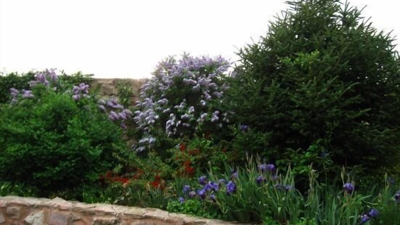Photo of Outdoor in Espirdo
