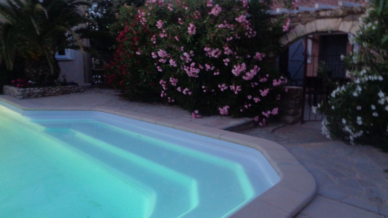 Photo of Outdoor in Floure