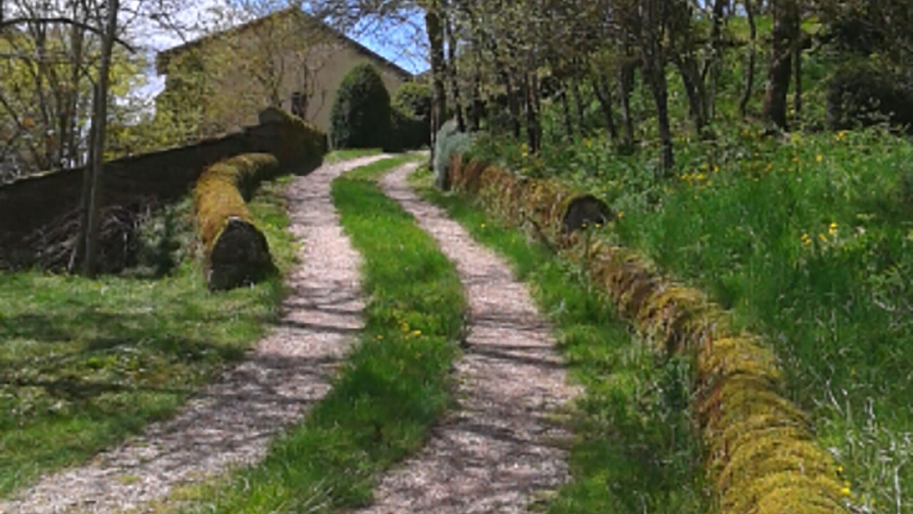 Photo of Outdoor in Cornus