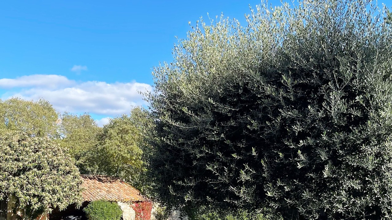Photo of Outdoor in Aubussargues