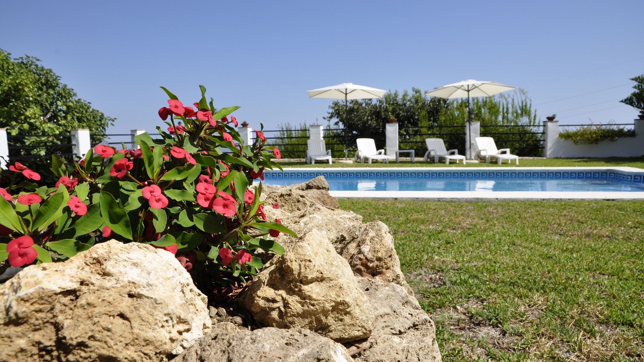 Photo of Outdoor in Benalmadena