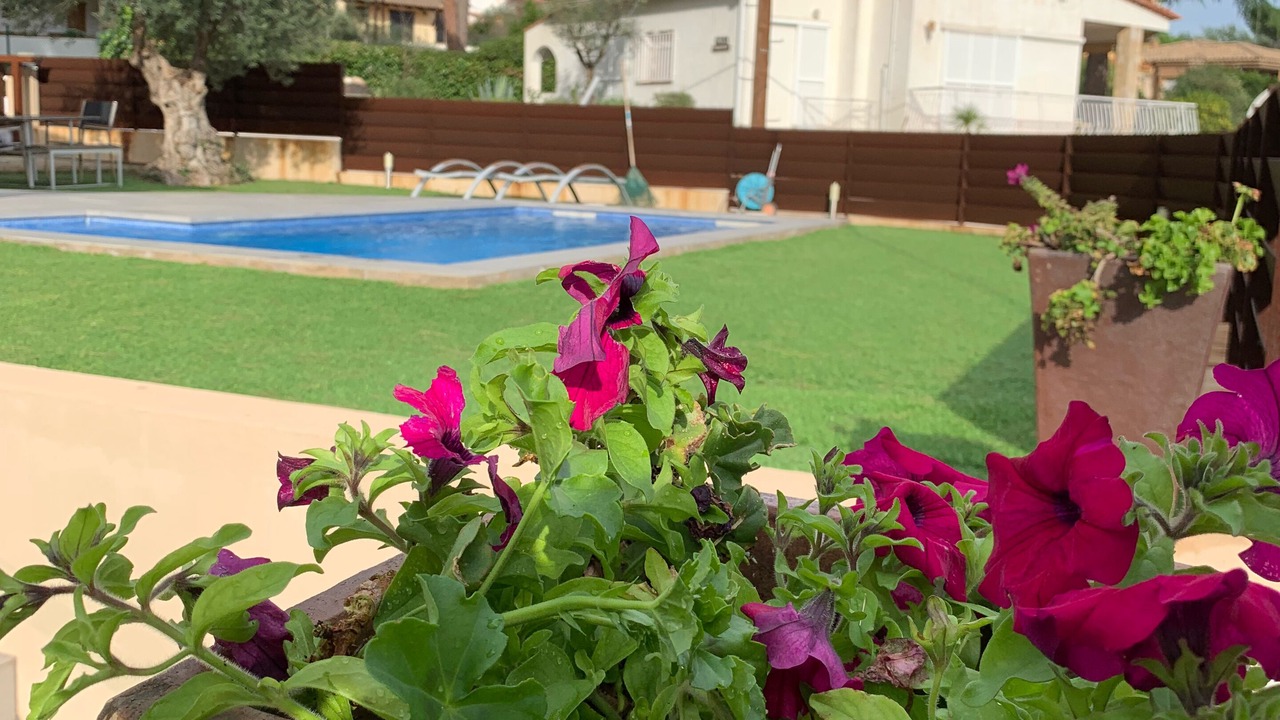 Photo of Outdoor in Calonge