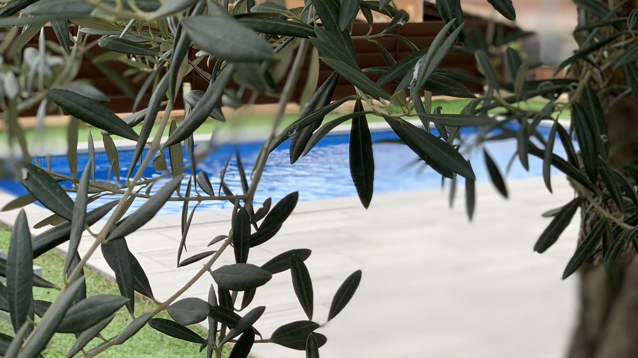 Photo of Outdoor in Calonge