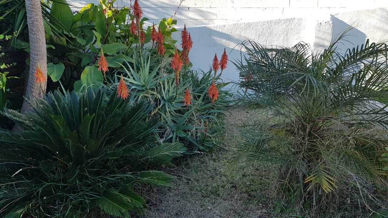 Photo of Outdoor in Calafell