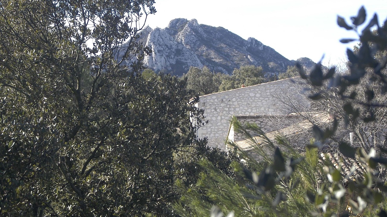 Photo of Outdoor in Eygalieres