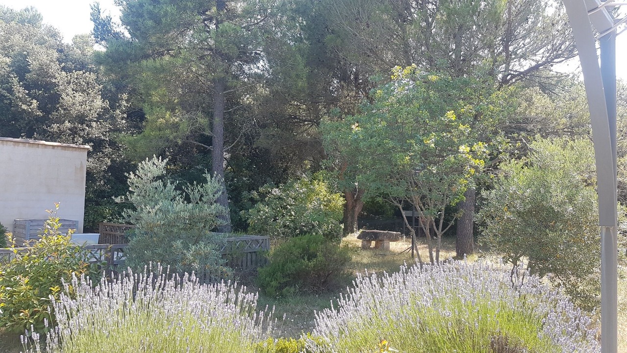 Photo of Outdoor in Eygalieres