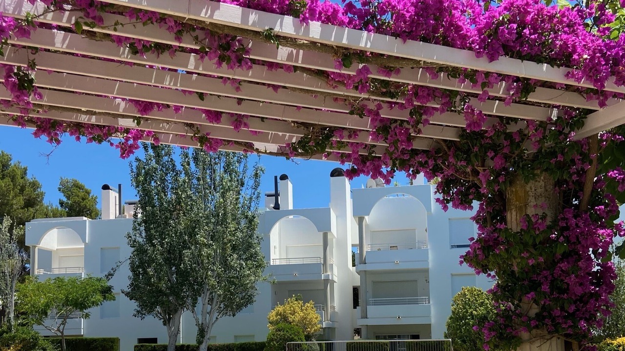 Photo of Outdoor in Puerto de Pollensa