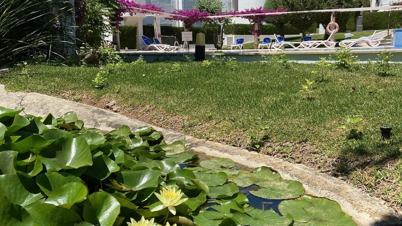 Photo of Outdoor in Puerto de Pollensa