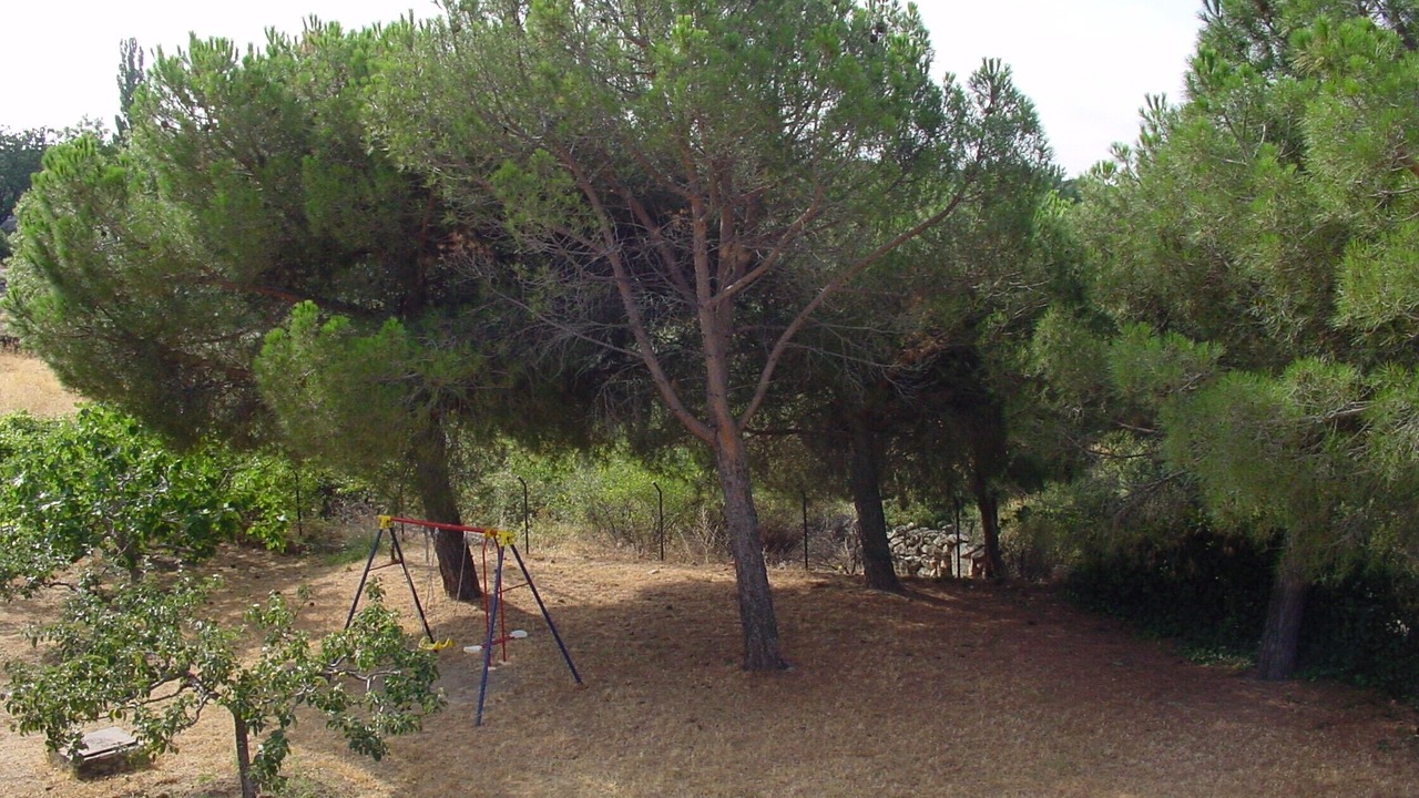 Photo of Outdoor in Valdemanco
