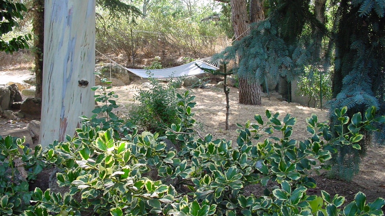 Photo of Outdoor in Valdemanco