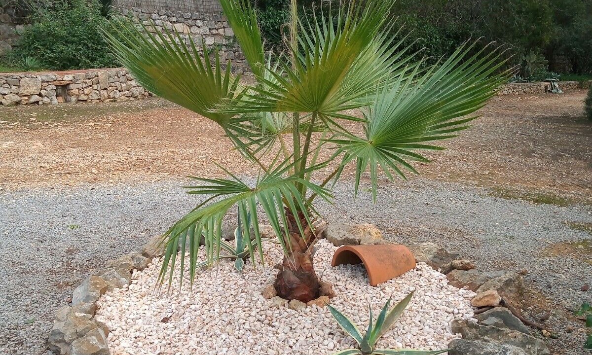 Photo of Outdoor in Santa Eulalia del Rio