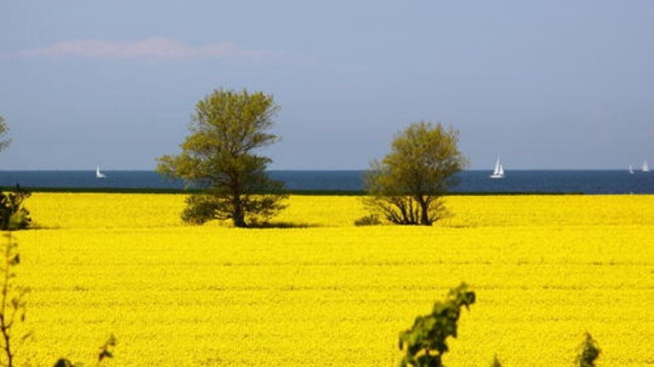 Photo of Others in Heidkate