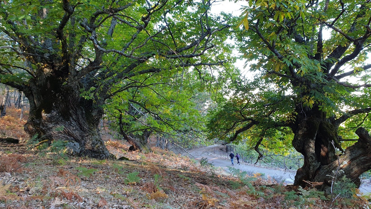 Photo of Outdoor in Casas del Monte