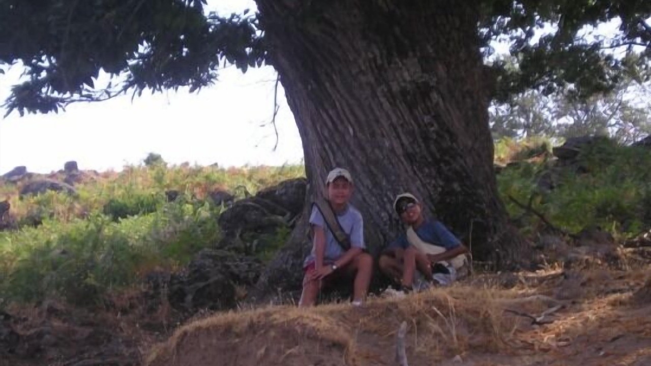 Photo of Outdoor in Casas del Monte