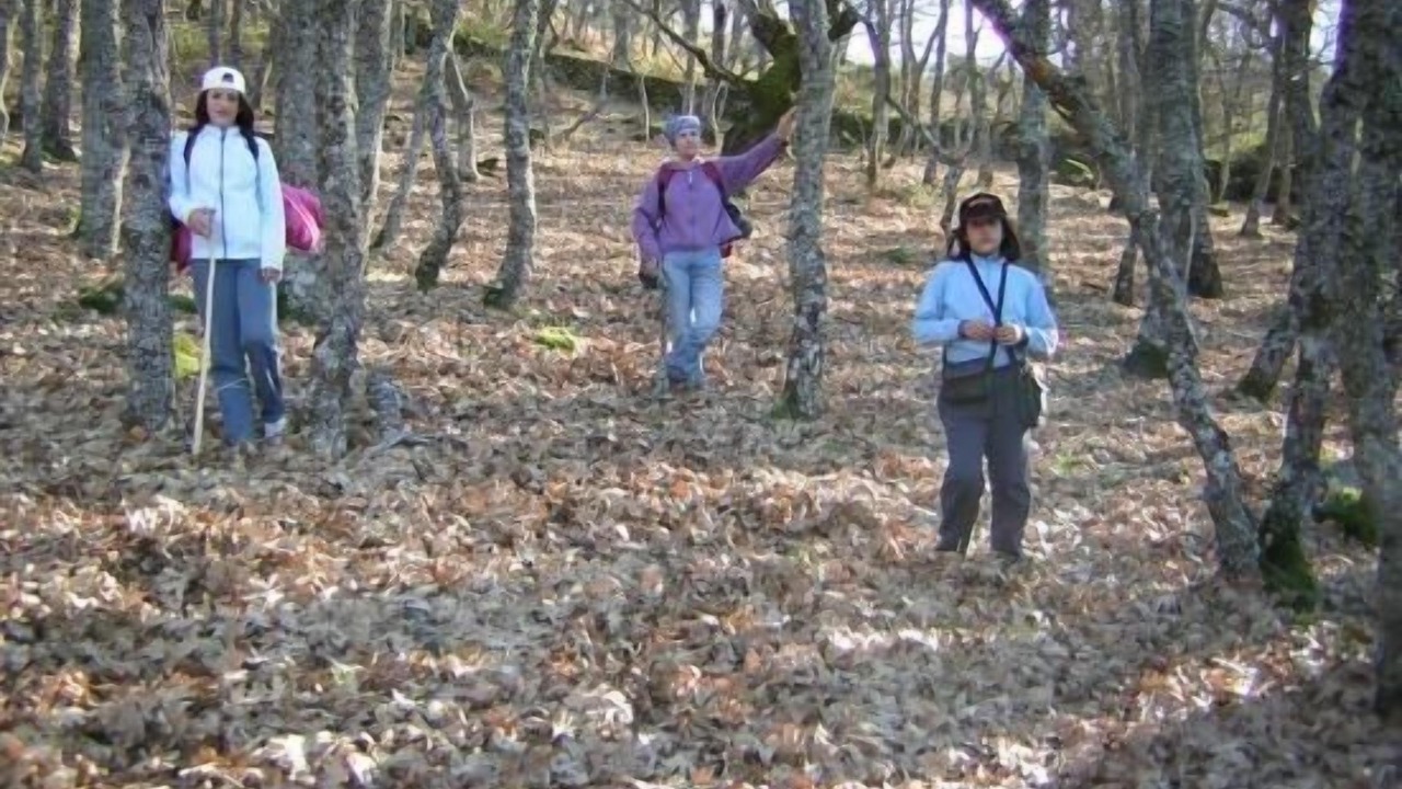 Photo of Others in Casas del Monte
