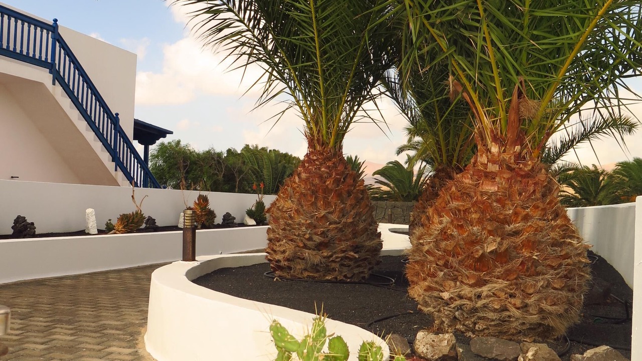 Photo of Outdoor in Puerto Calero