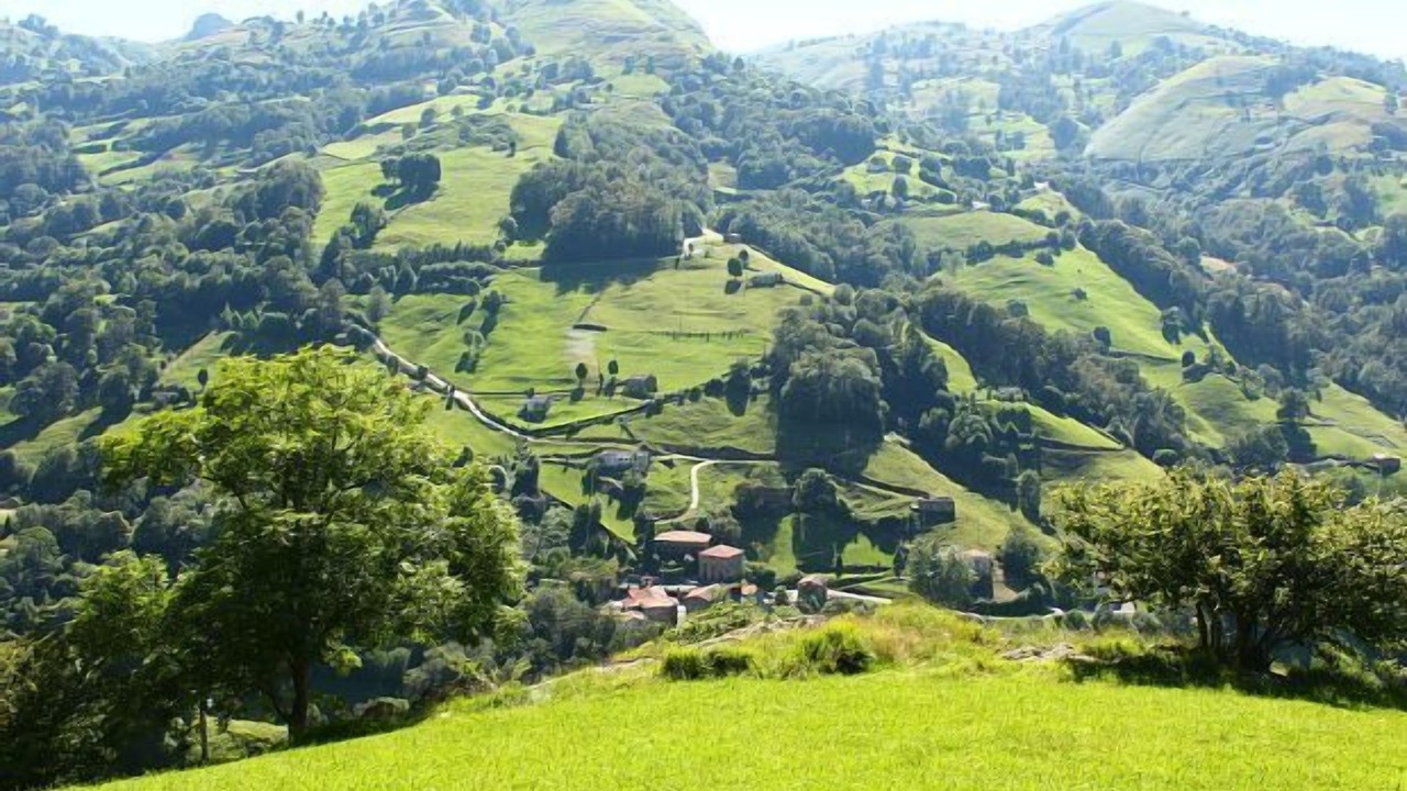 Photo of Outdoor in Soba