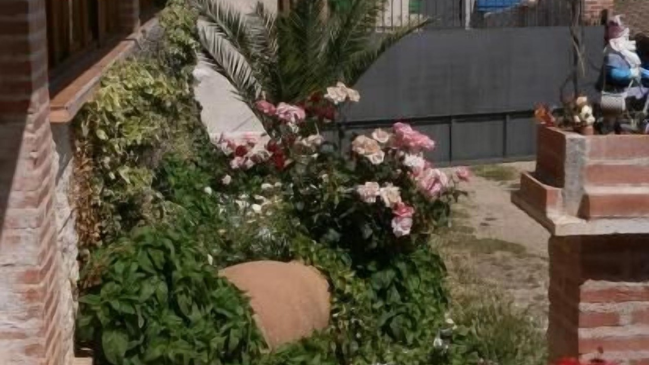 Photo of Outdoor in Noez