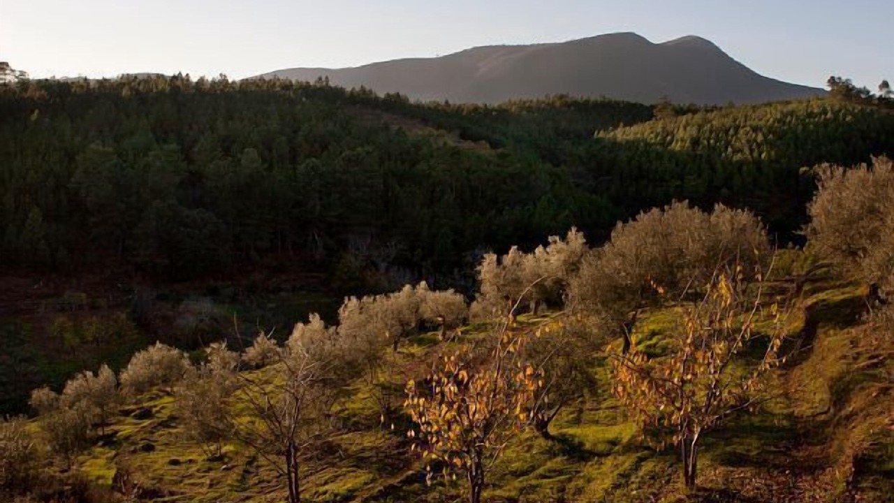 Photo of Outdoor in Pinofranqueado
