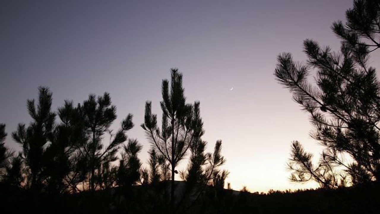 Photo of Outdoor in Pinofranqueado