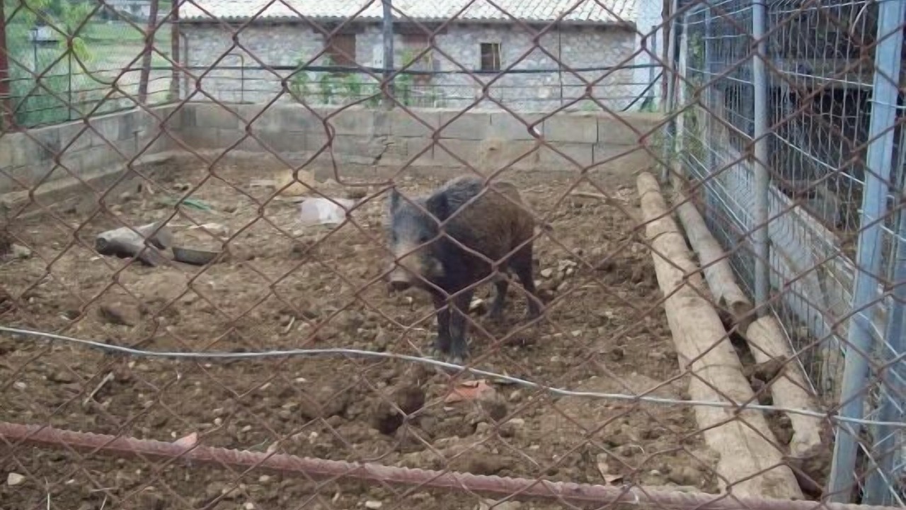 Photo of Outdoor in Samitier