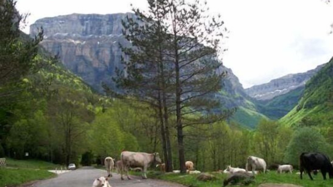 Photo of Others in Samitier