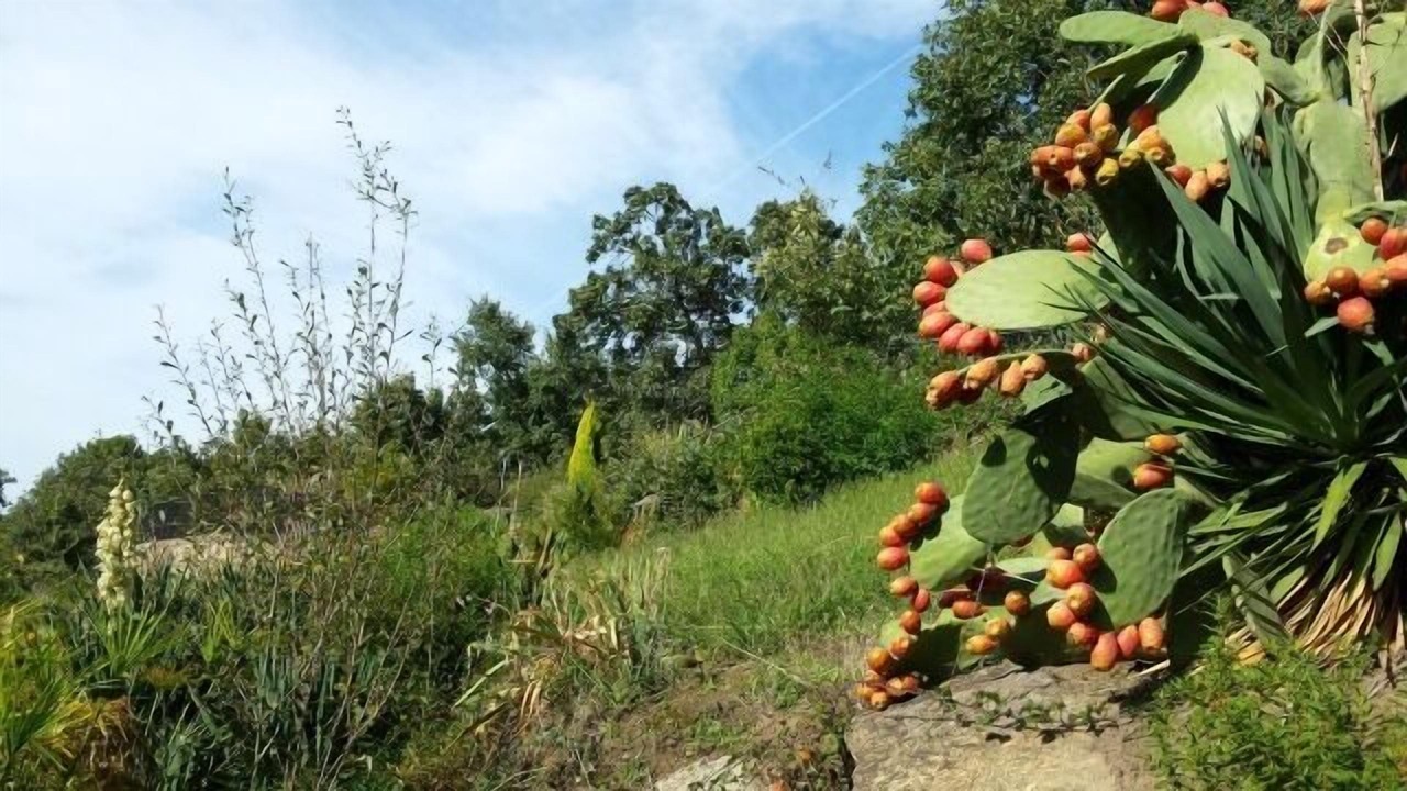 Photo of Outdoor in Poyales del Hoyo
