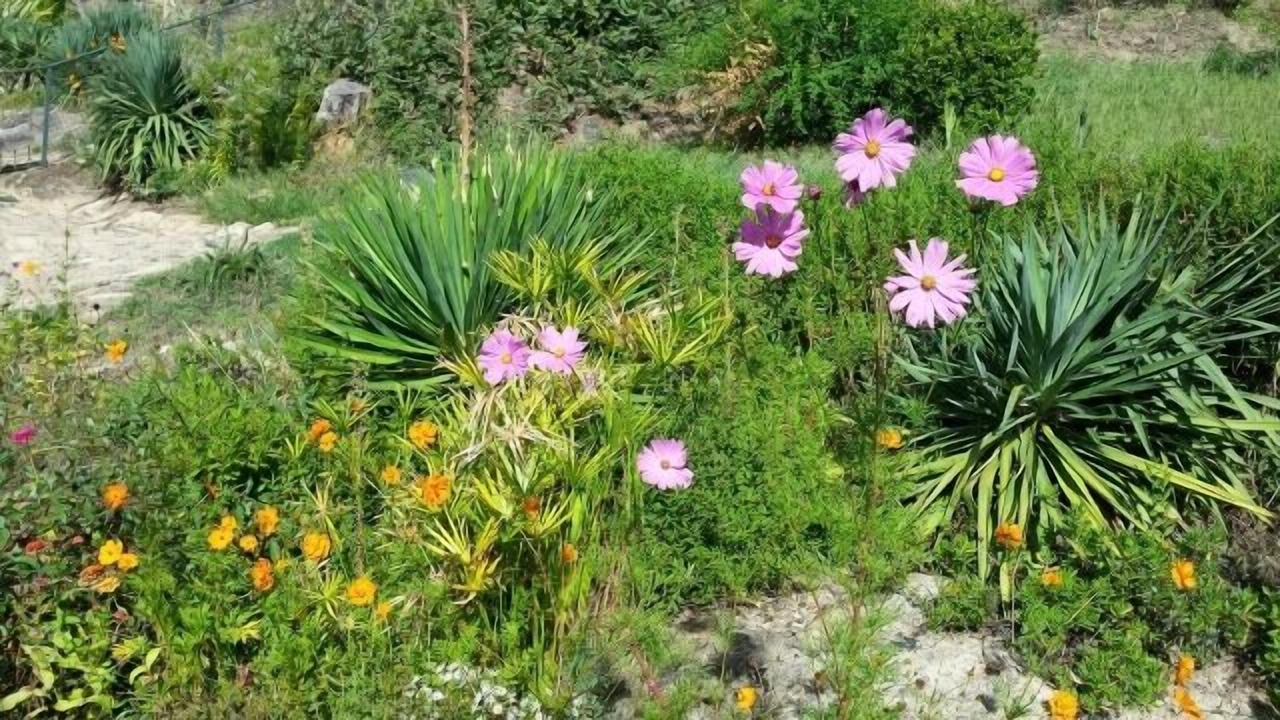 Photo of Outdoor in Poyales del Hoyo