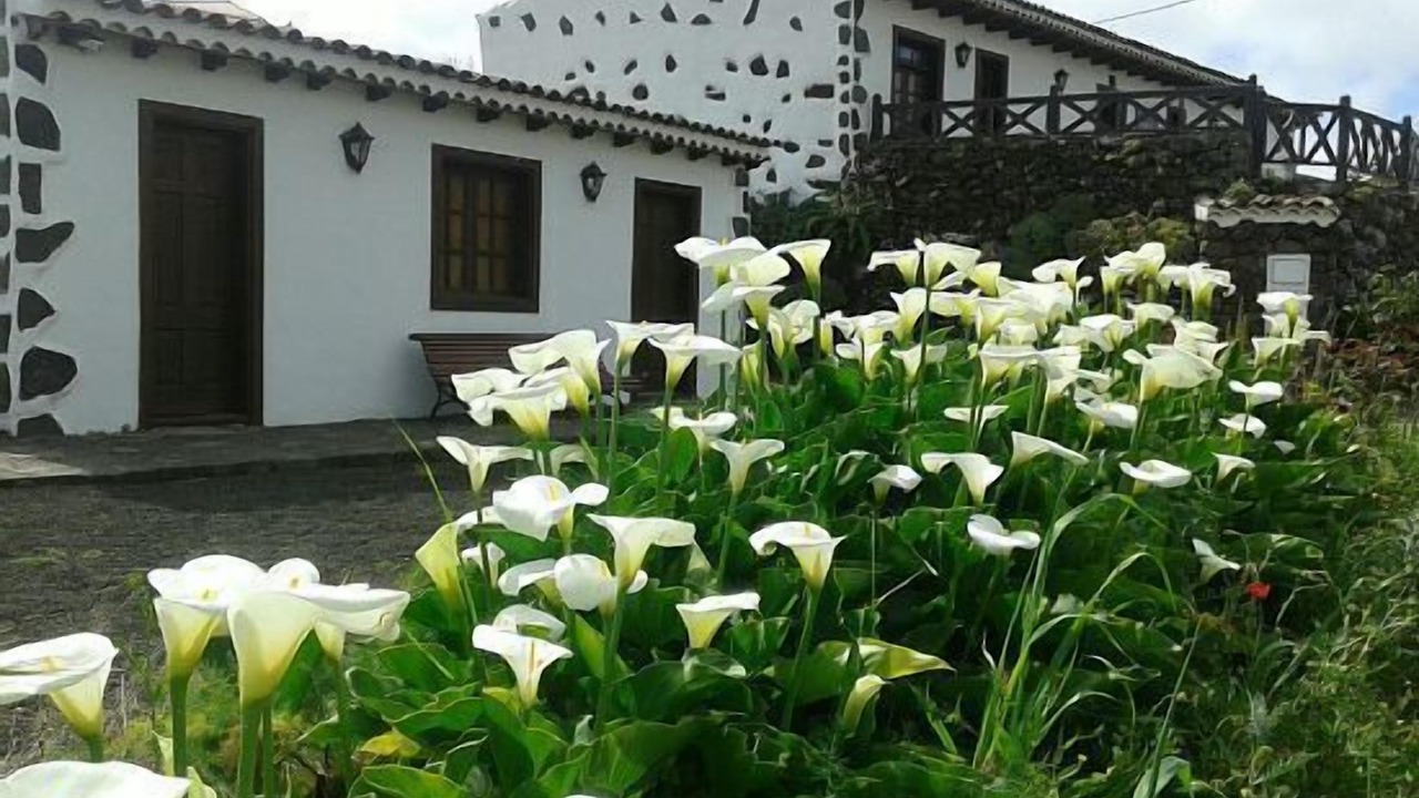 Photo of Outdoor in Erjos