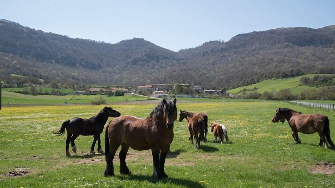 Photo of Others in Andoin