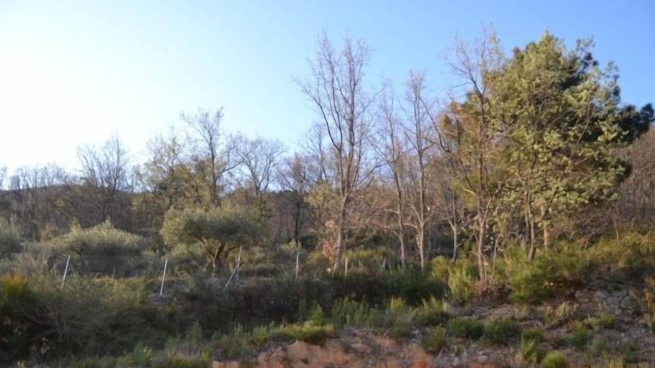 Photo of Outdoor in Poyales del Hoyo