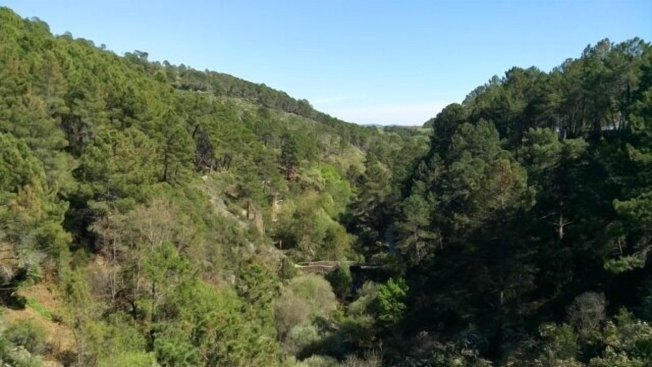 Photo of Others in Poyales del Hoyo