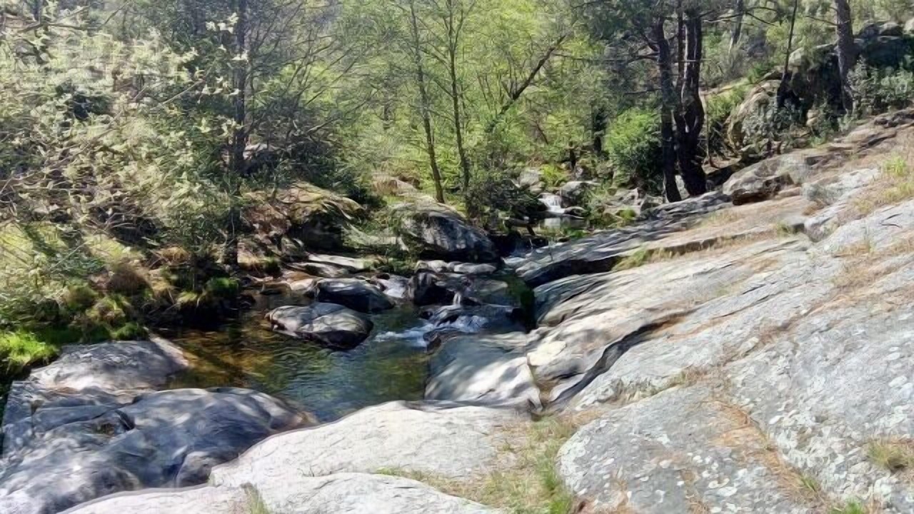 Photo of Others in Poyales del Hoyo