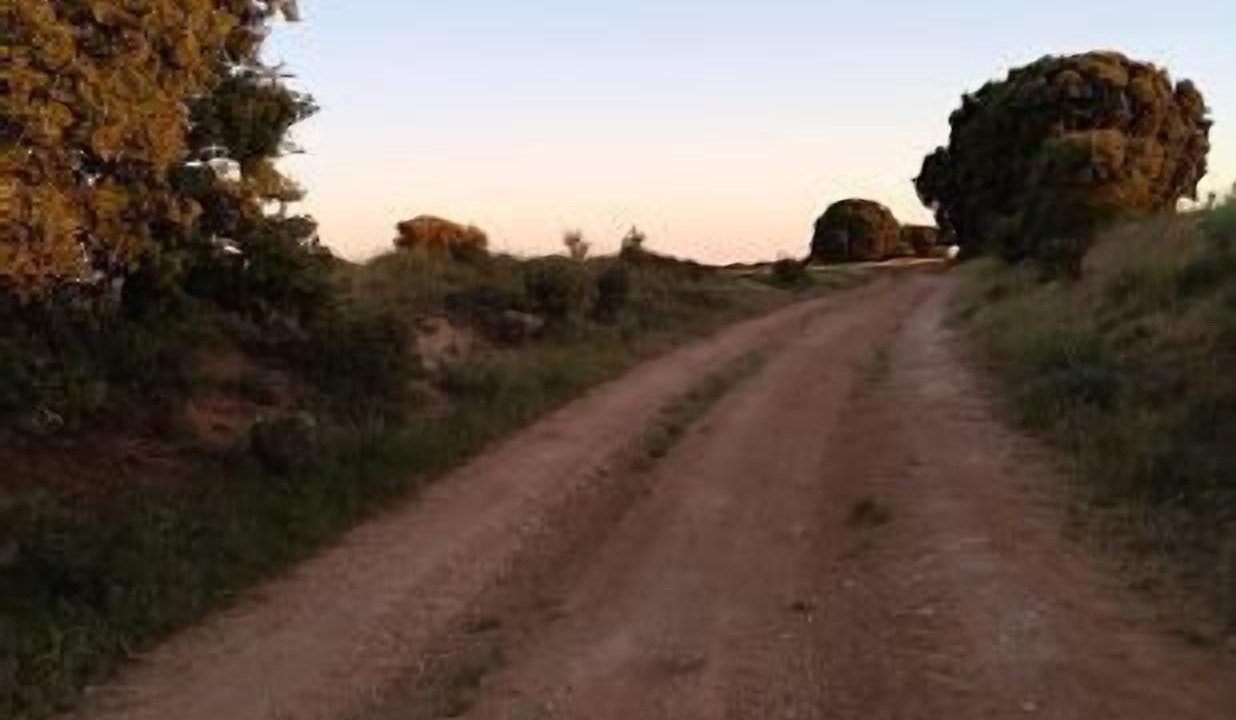 Photo of Outdoor in Canalejas del Arroyo
