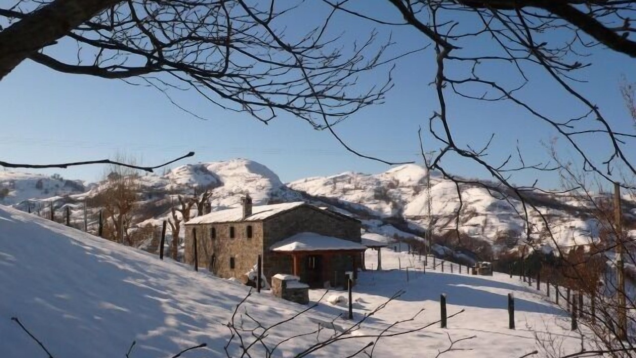 Photo of Outdoor in Soba
