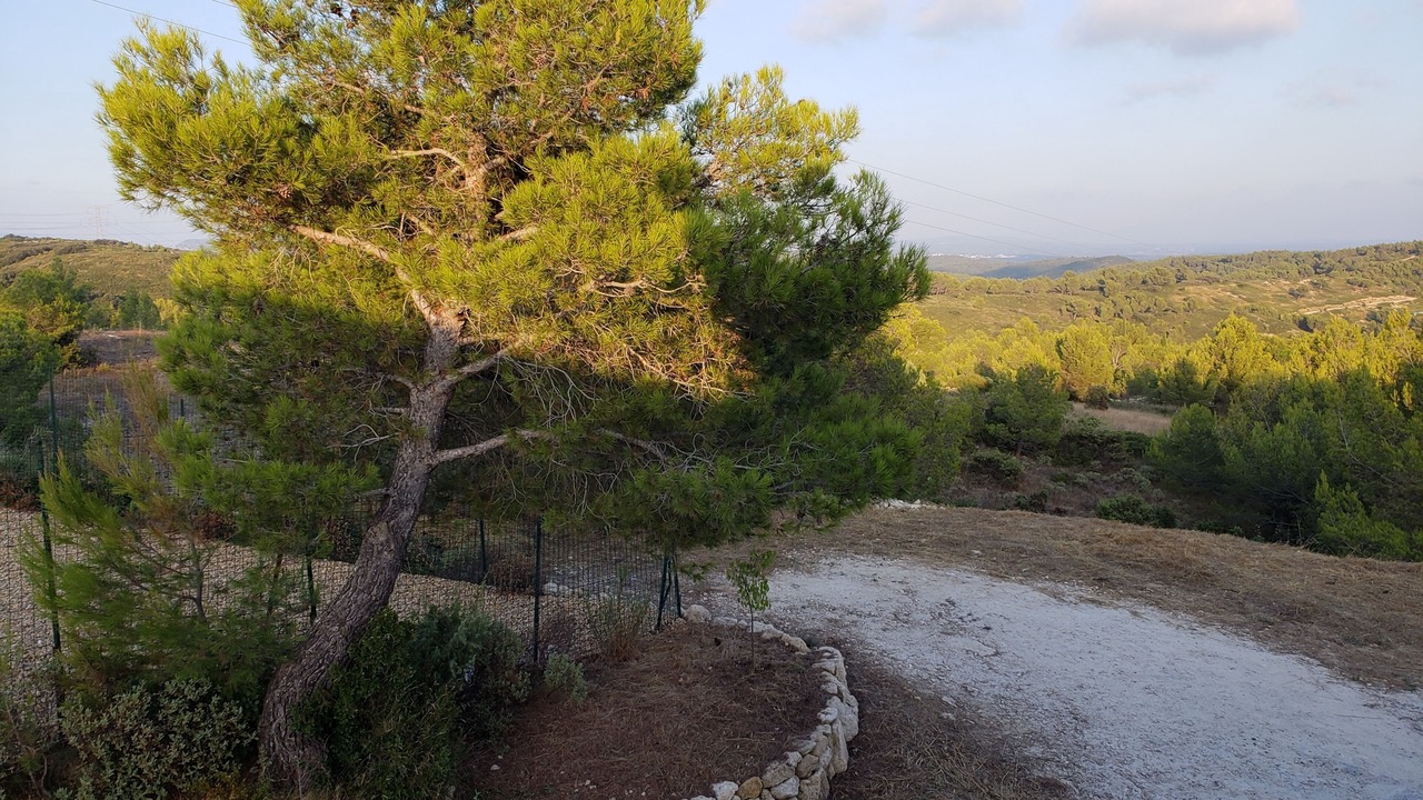 Photo of Outdoor in Aurons