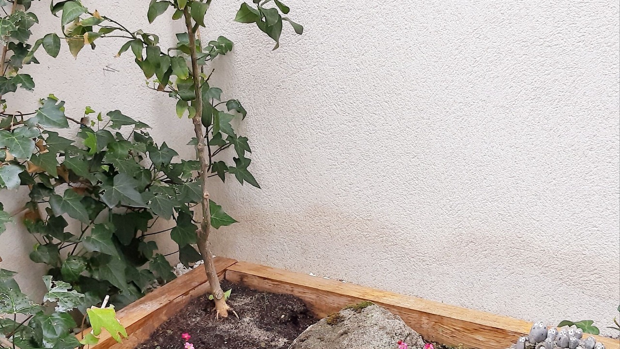 Photo of Outdoor in Tolbanos