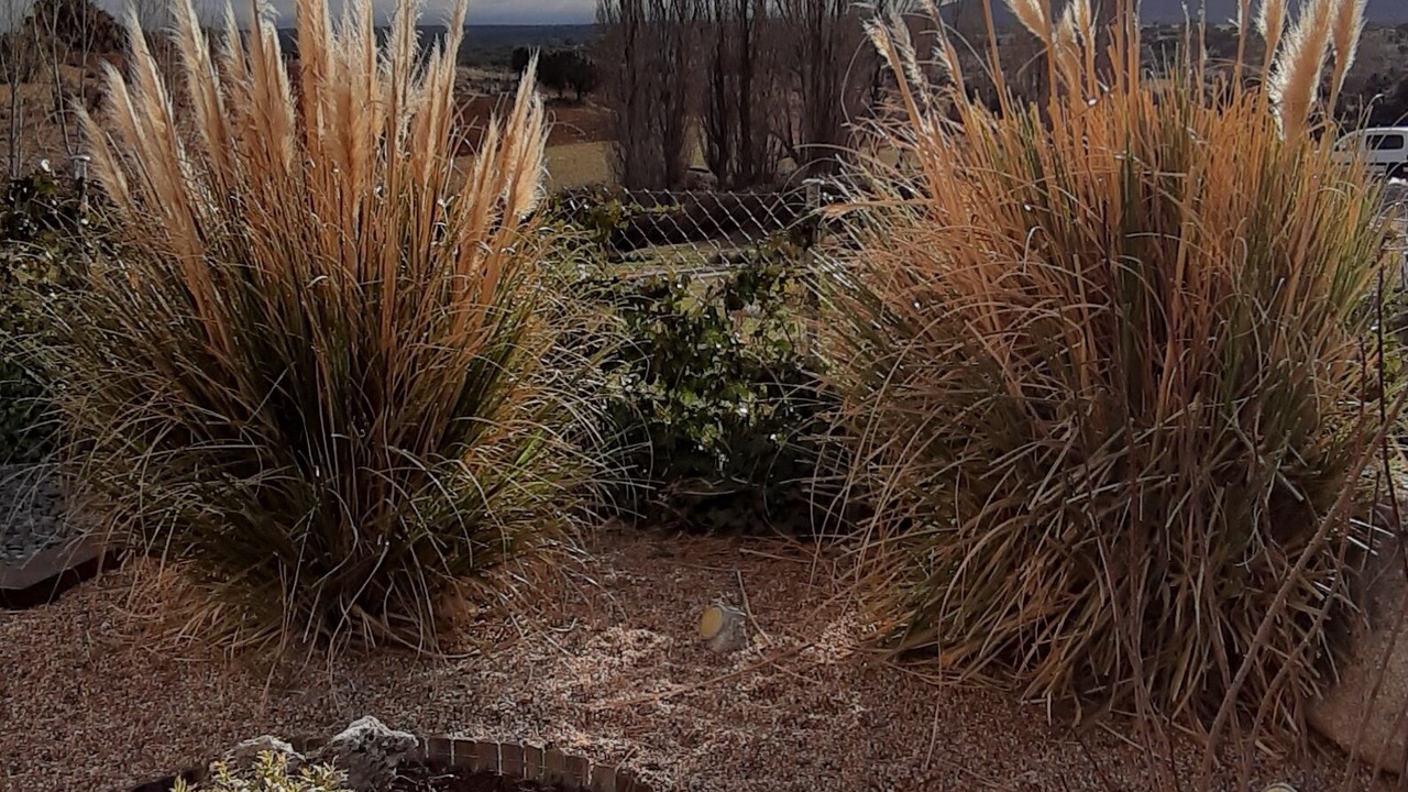 Photo of Outdoor in Tolbanos