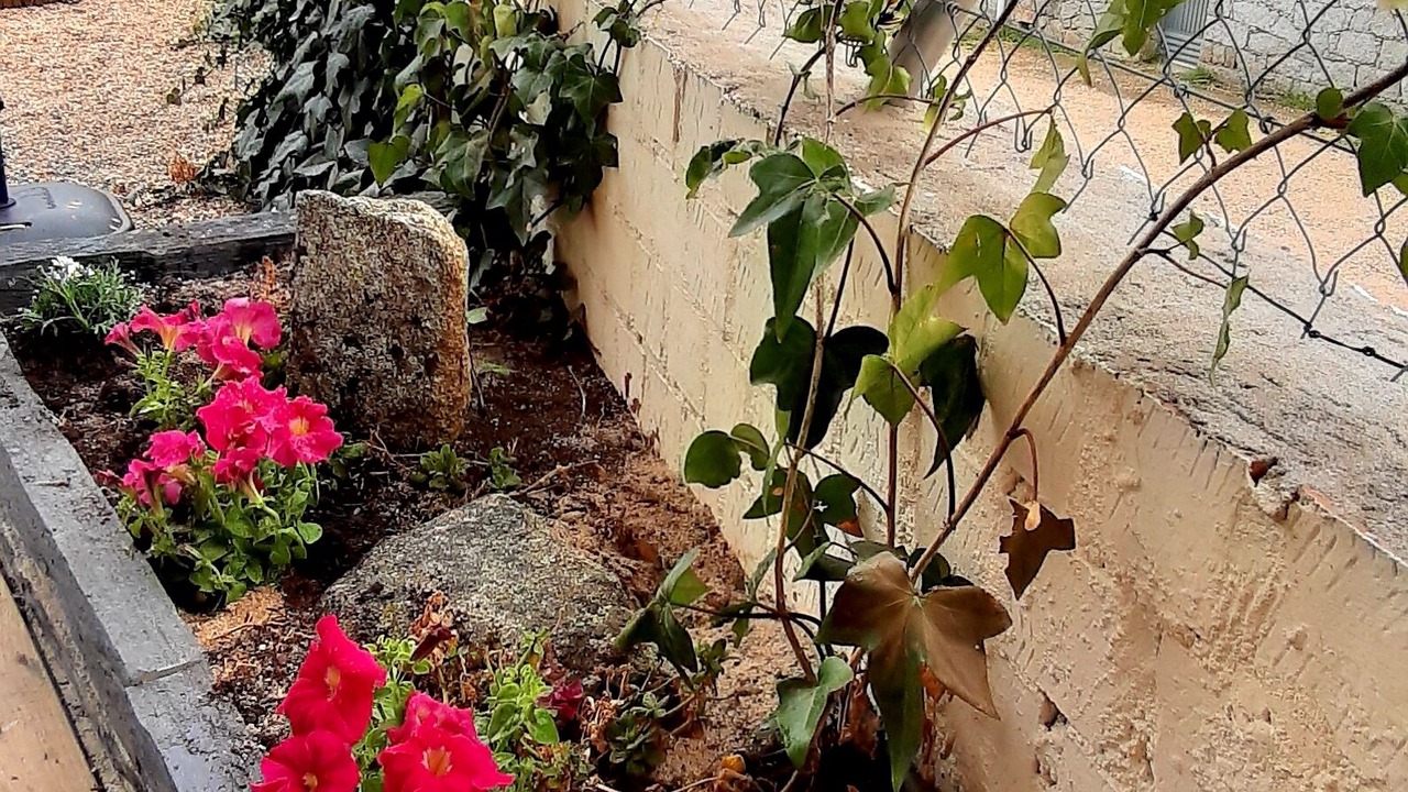 Photo of Outdoor in Tolbanos
