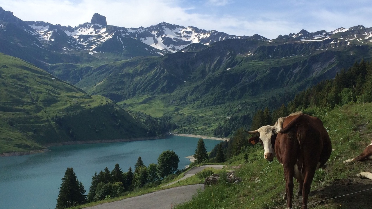 Photo of Outdoor in Bisanne 1500