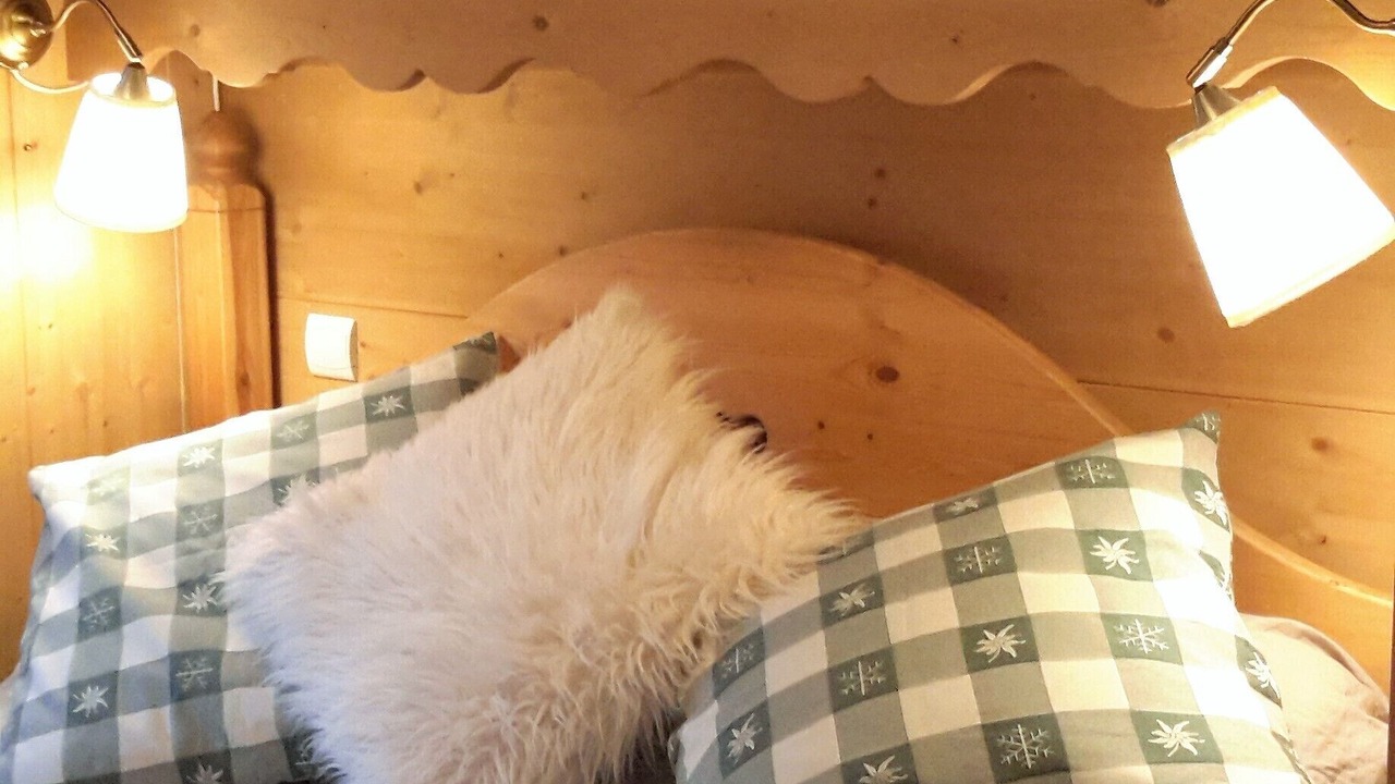 Photo of Bedroom in Bisanne 1500