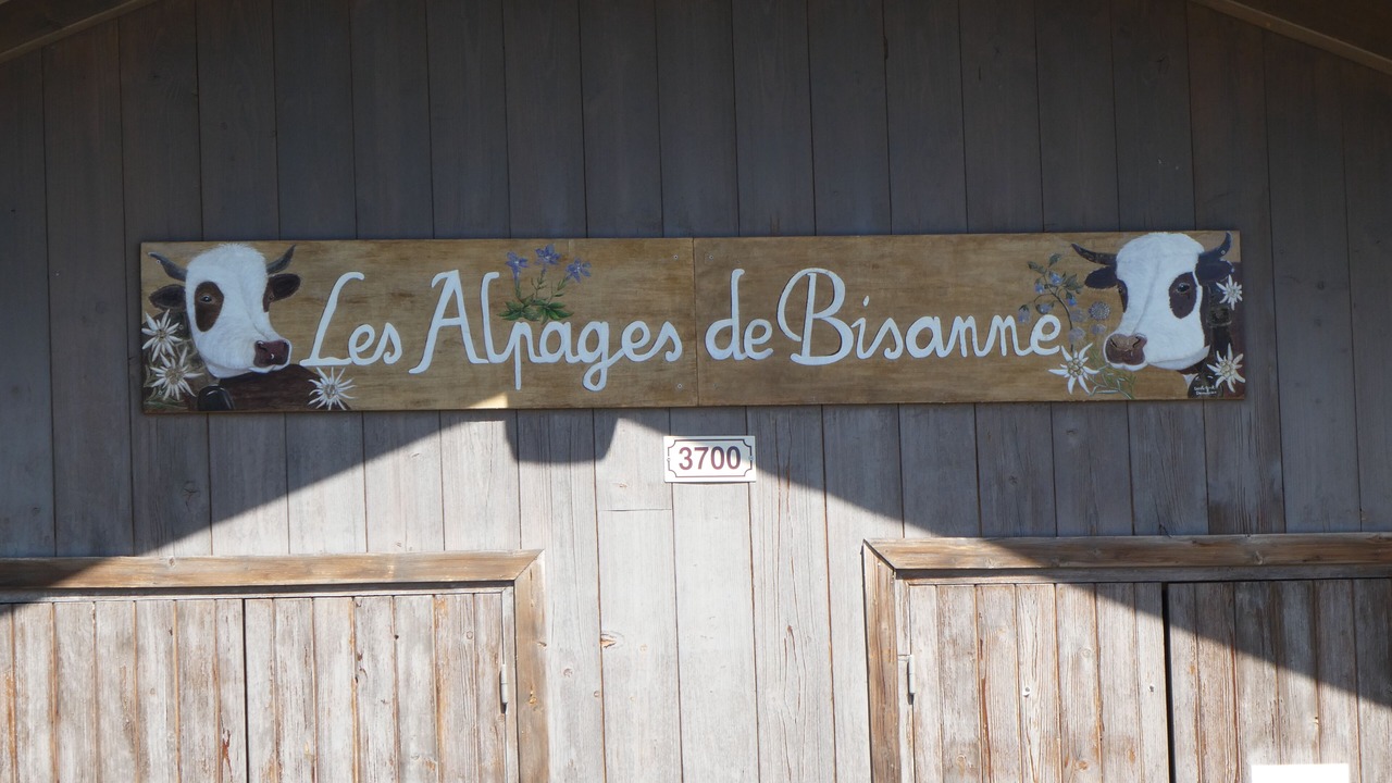 Photo of Outdoor in Bisanne 1500