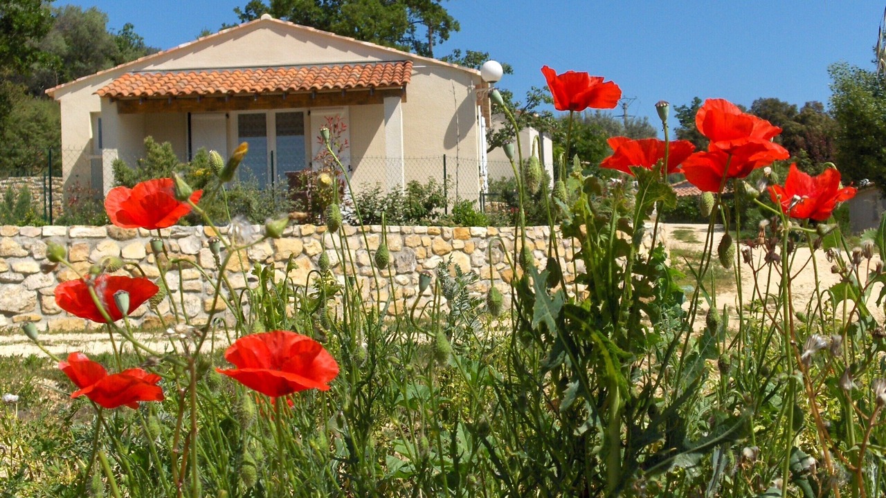 Photo of Outdoor in Bessas