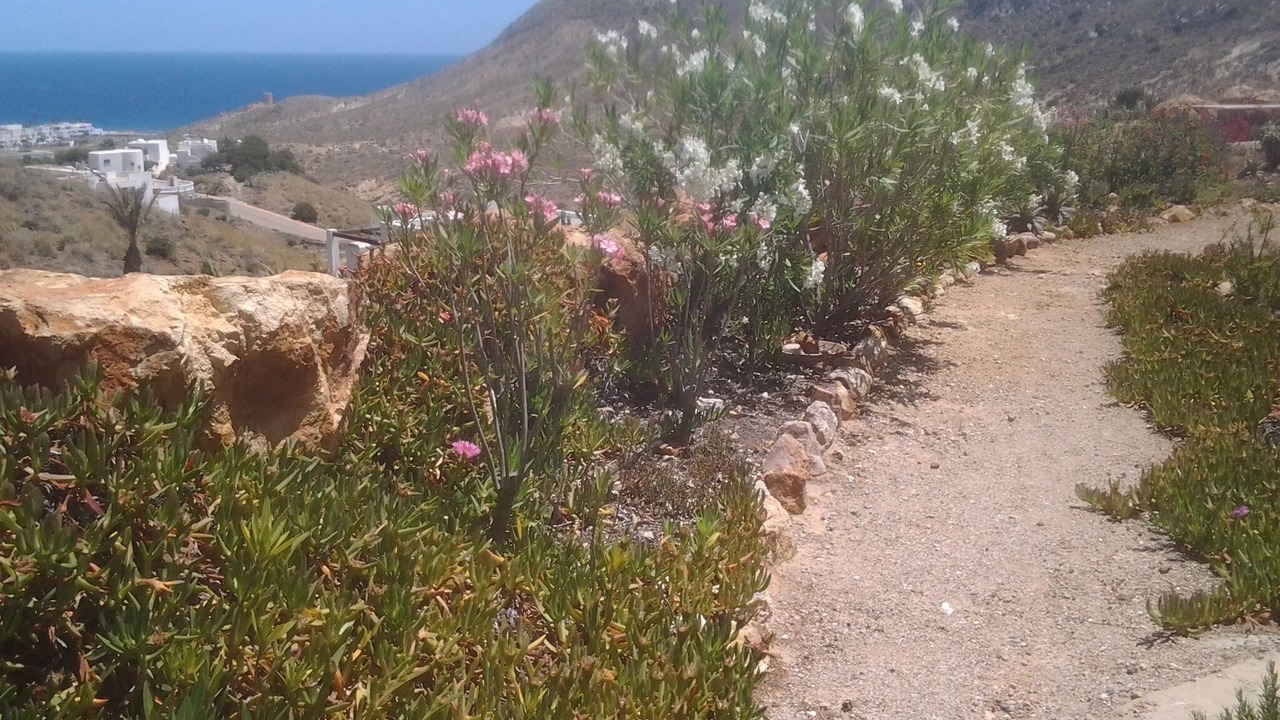 Photo of Outdoor in Las Negras