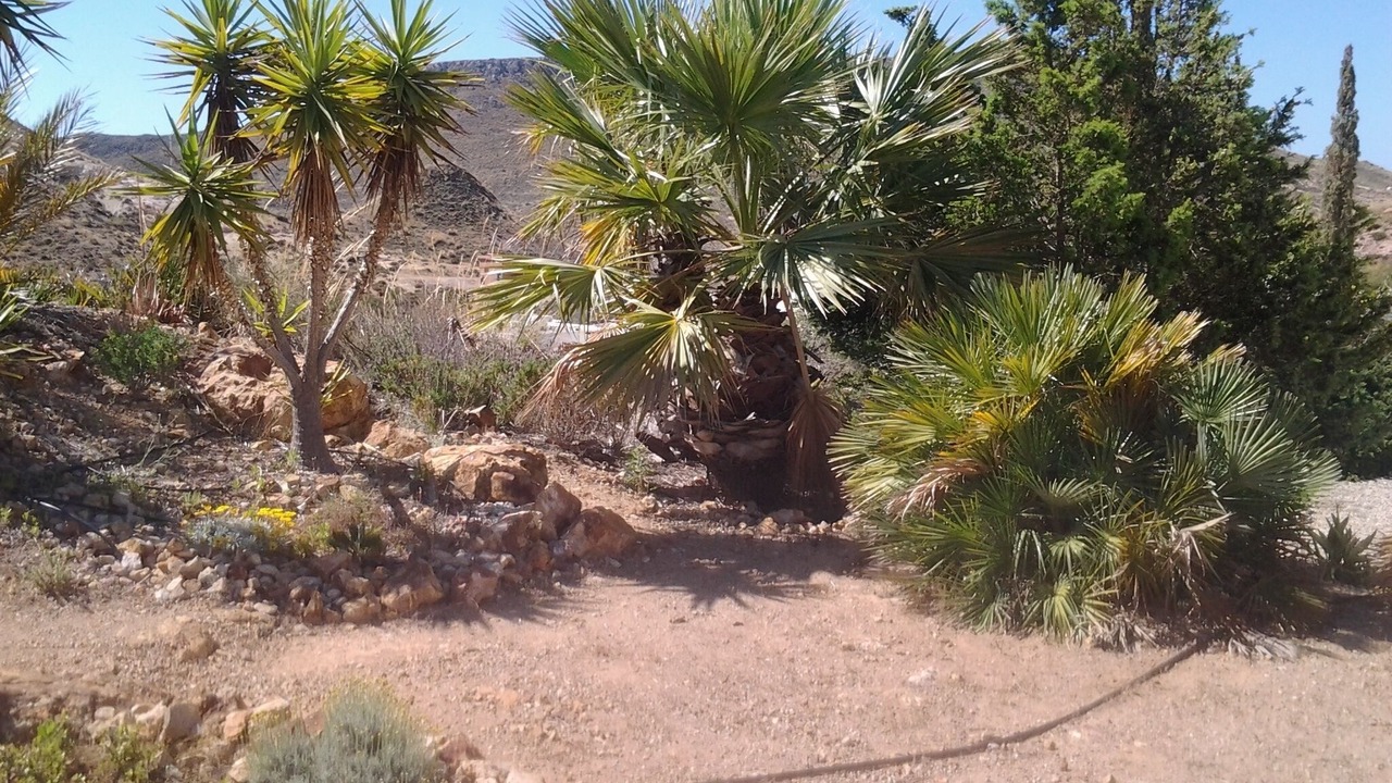 Photo of Outdoor in Las Negras
