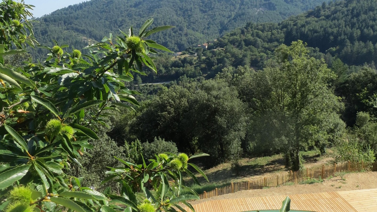 Photo of Outdoor in Blaunac