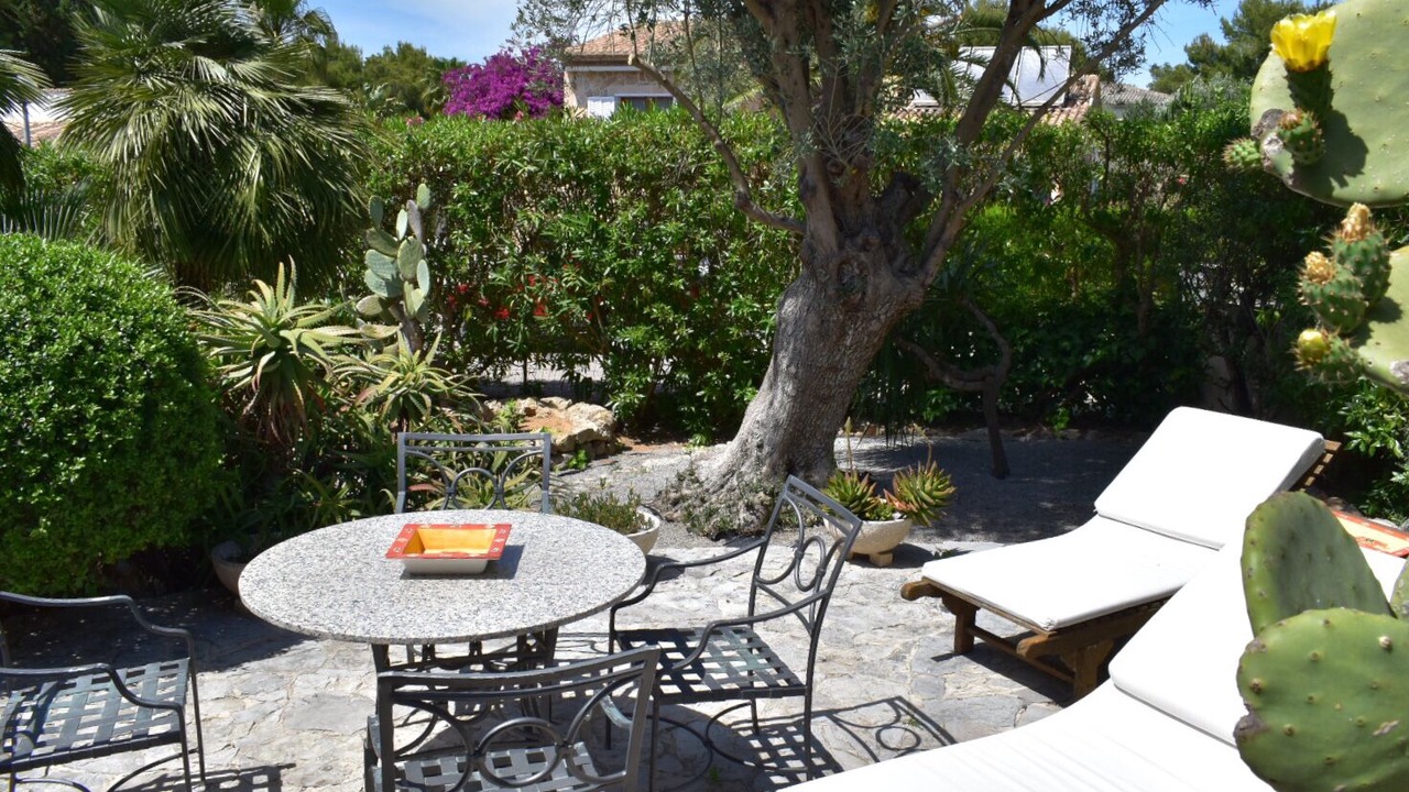 Photo of Outdoor in Cielo de Bonaire