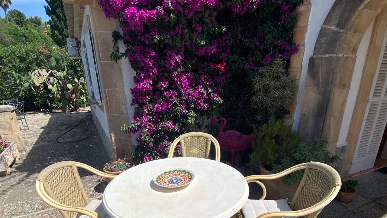 Photo of Outdoor in Cielo de Bonaire