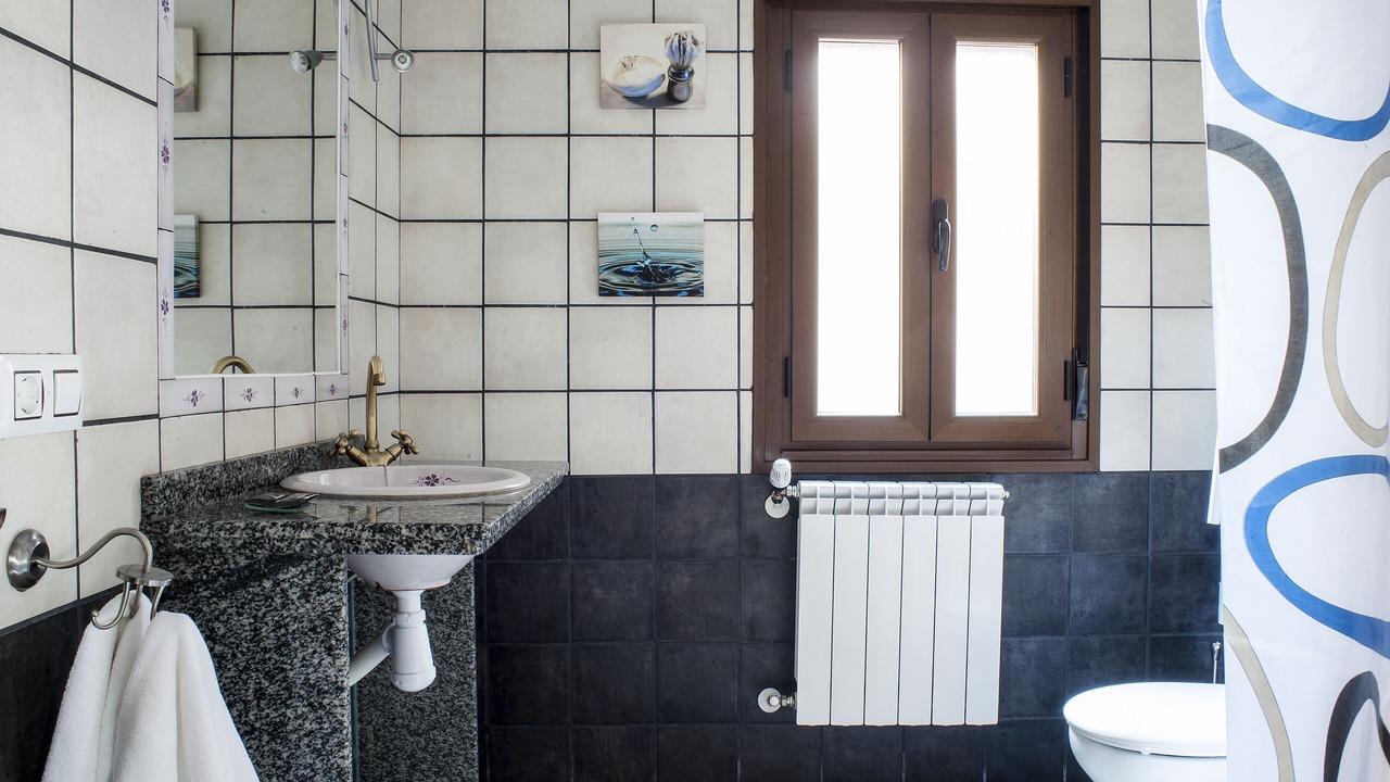Photo of Bathroom in Horcajo