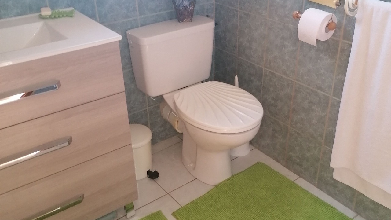 Photo of Bathroom in Lamanon